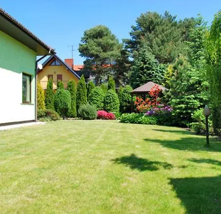 Zielona